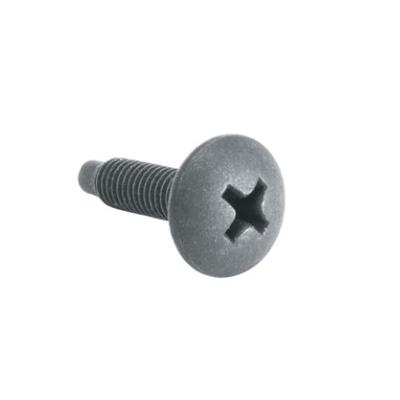 Rackscrews 10-32 Black Matte 100 PC.